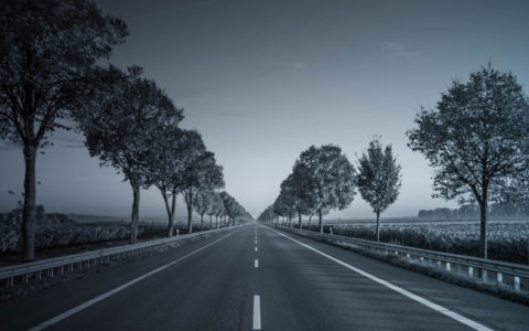 empty highway through farmland with trees lining road