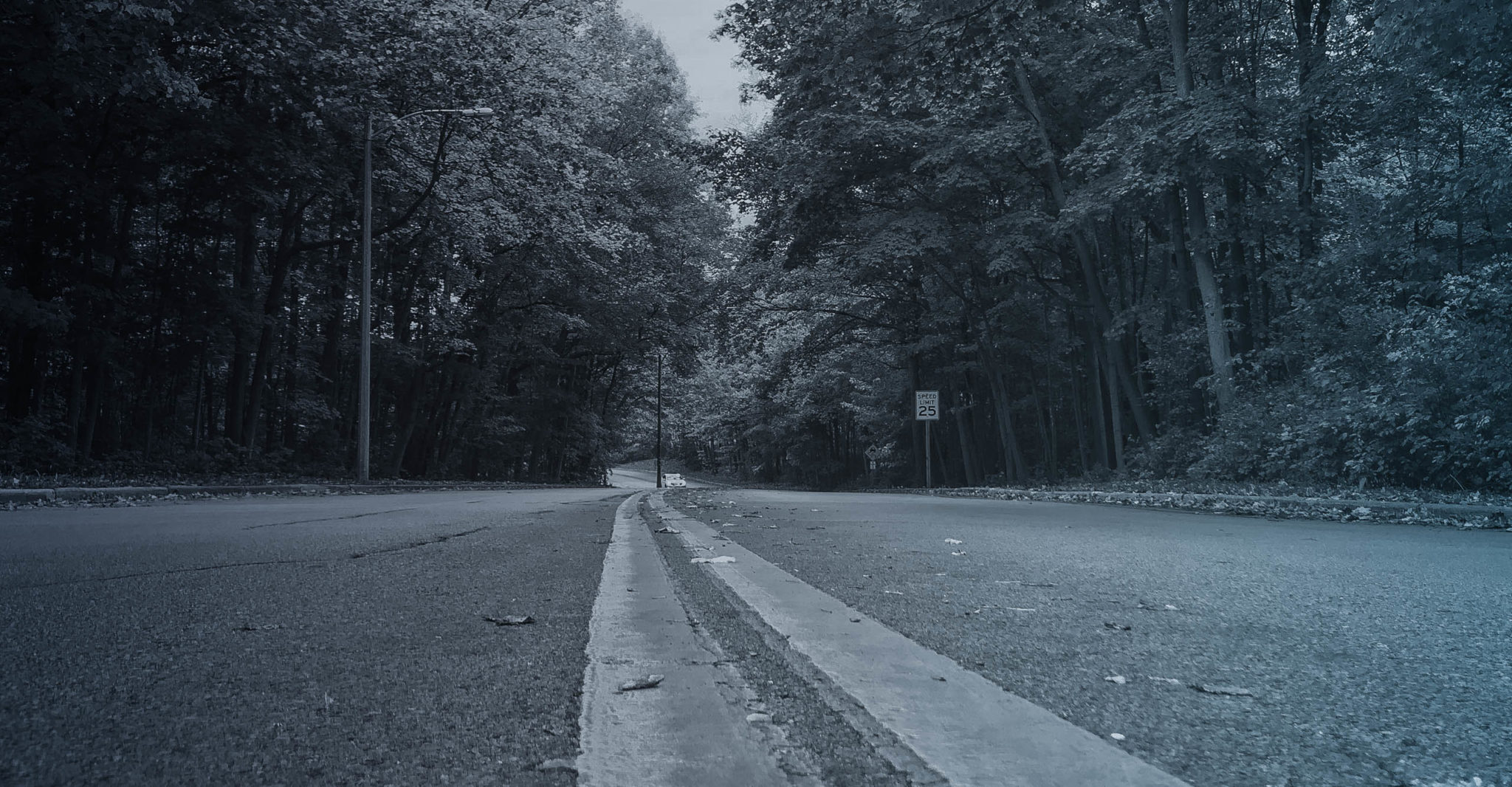 empty rural highway through forest with 25mph speed limit sign