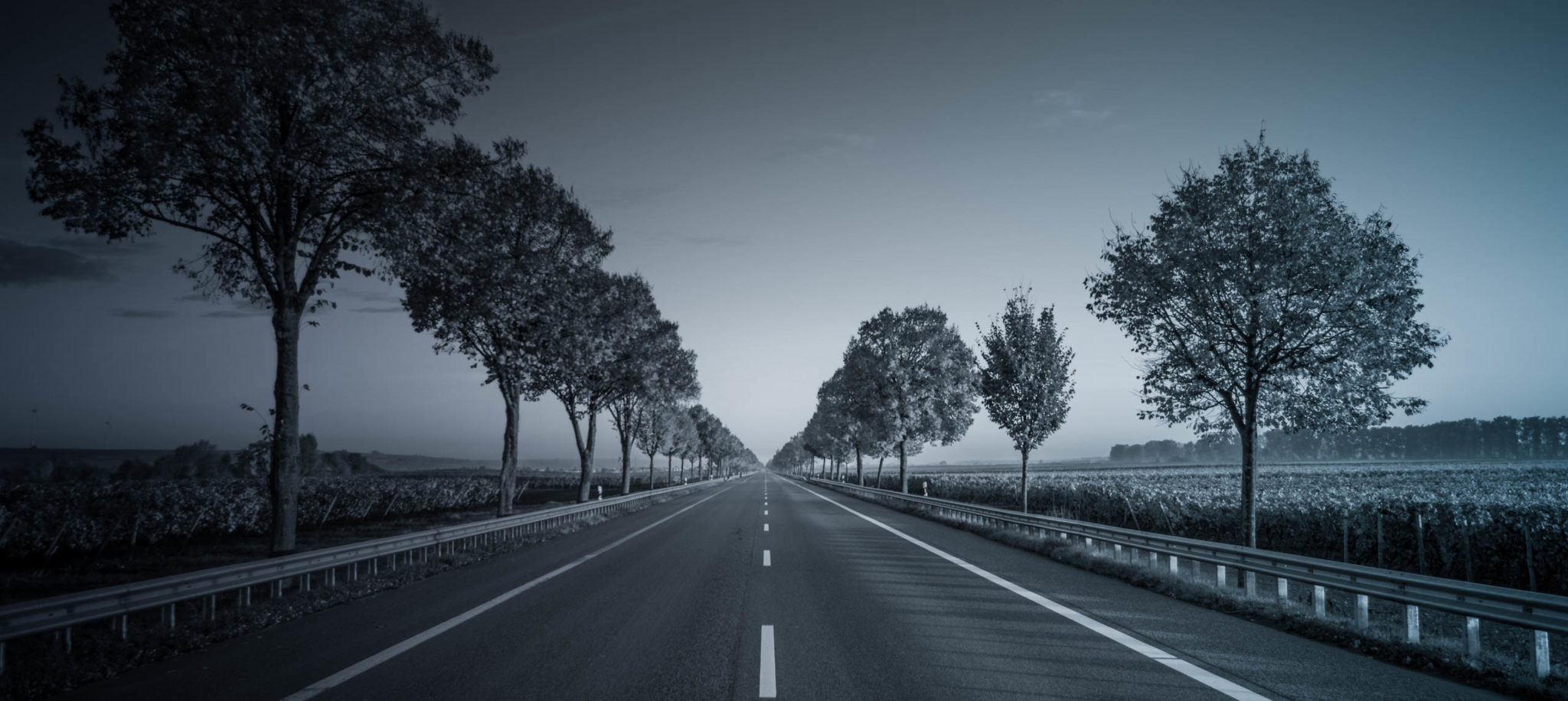 empty highway through farmland with trees lining road