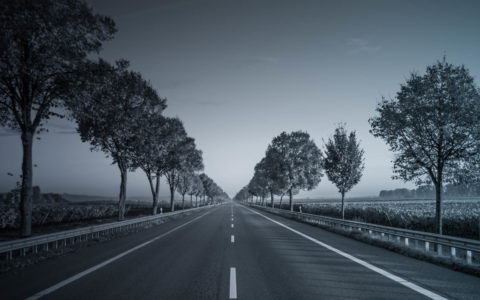 Highway with trees